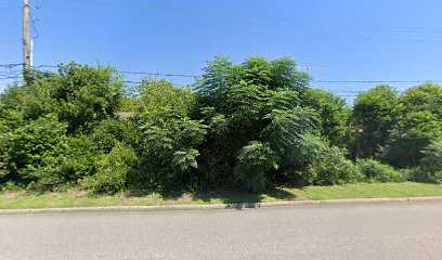 Natural Therapy Center