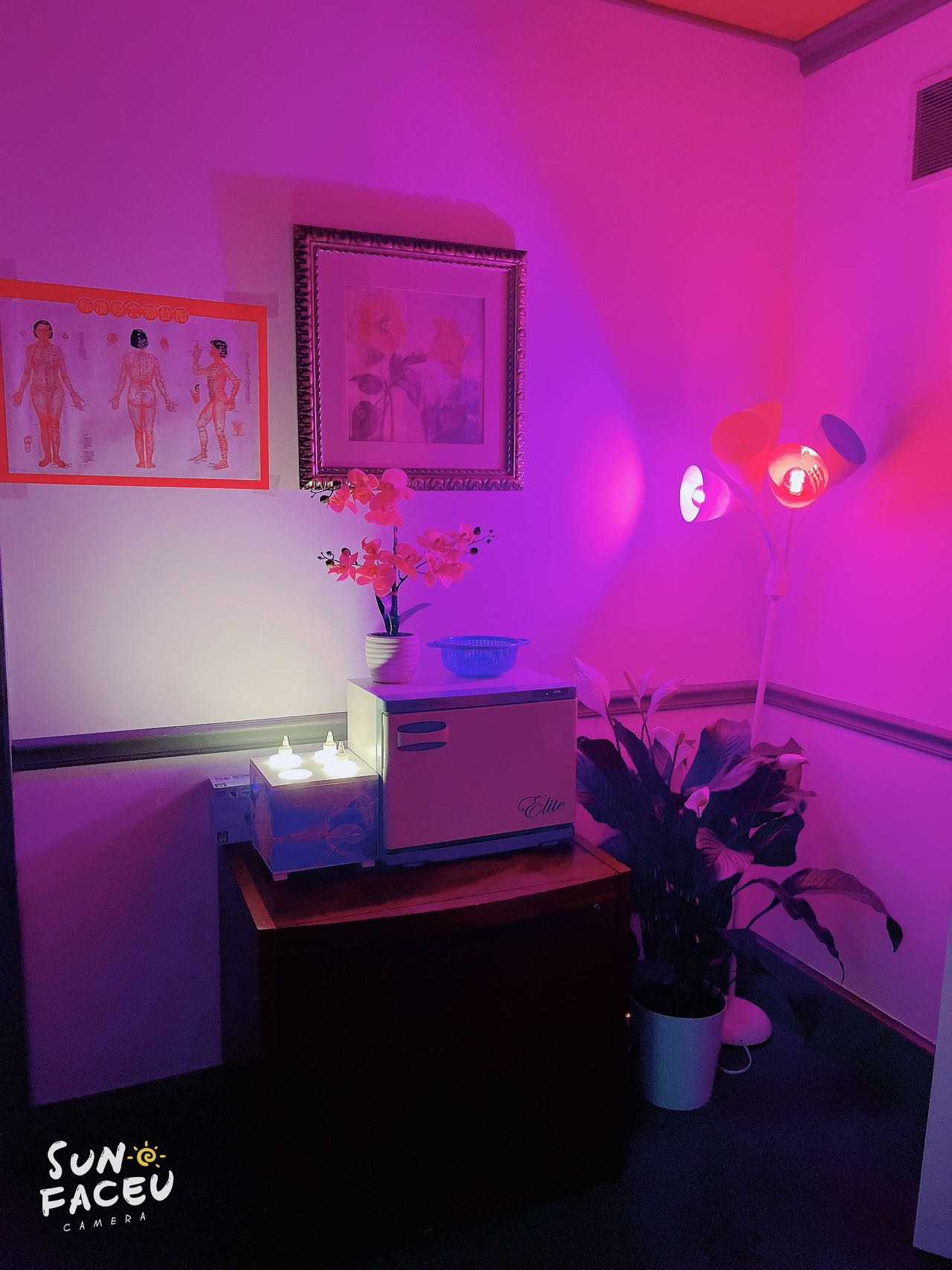 AsianMassageBook