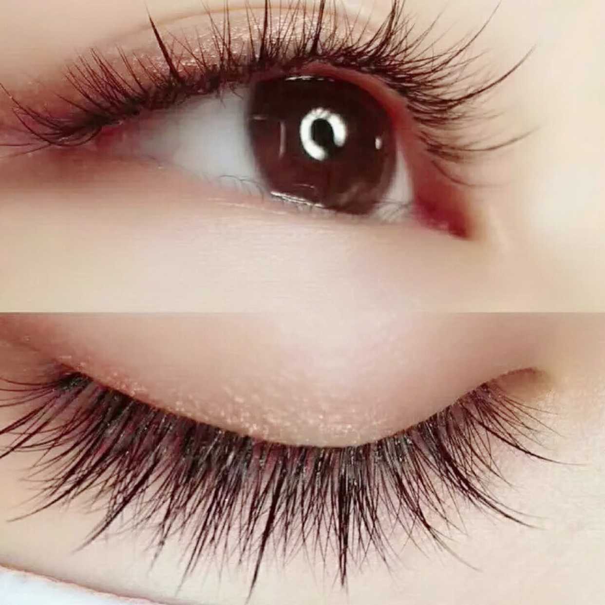 Hybrid Re-lash (90 Minutes)