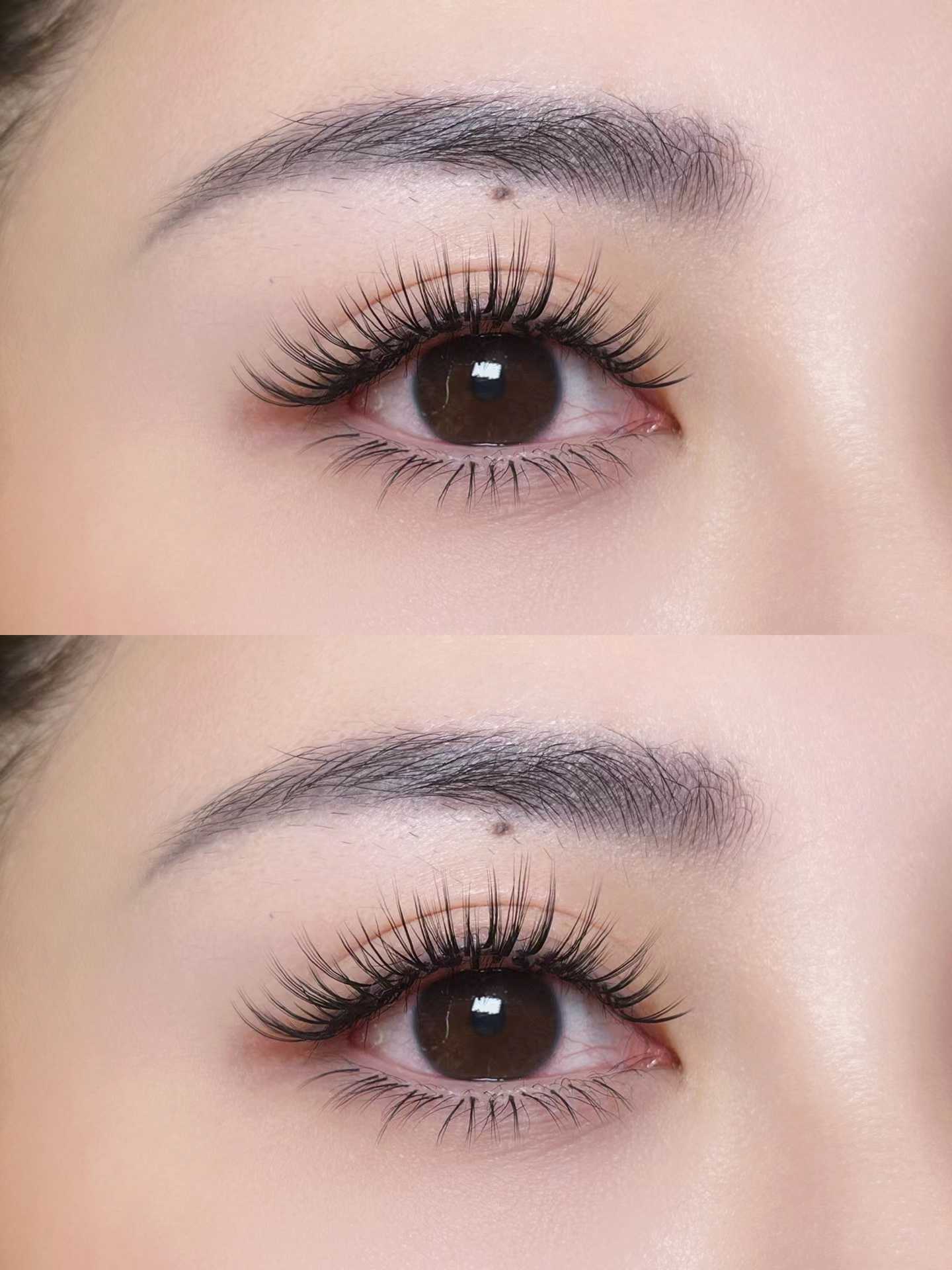 Z Privée MEGA Volume Re-lash (150 Minutes)